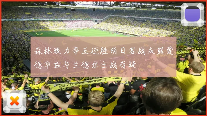 森林狼力争五连胜明日客战灰熊爱德华兹与兰德尔出战存疑