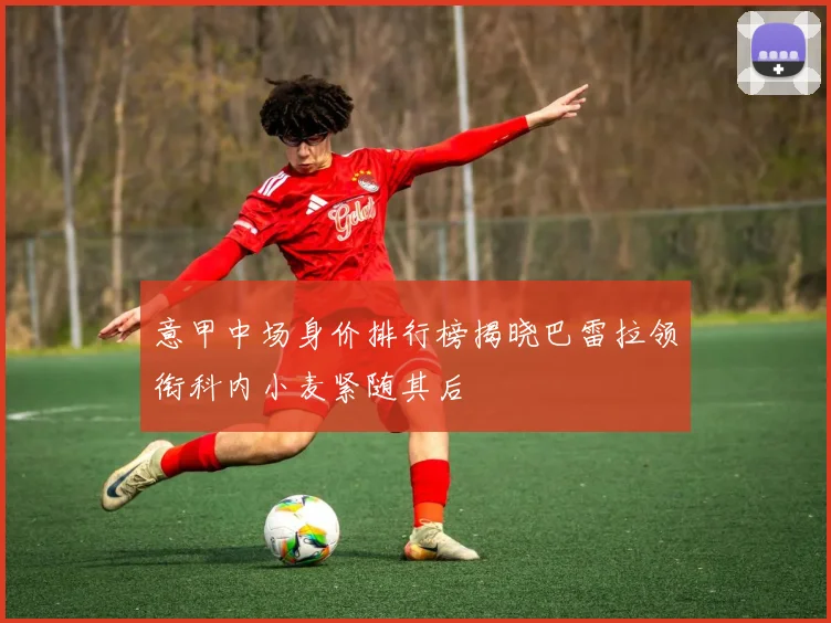 意甲中场身价排行榜揭晓巴雷拉领衔科内小麦紧随其后