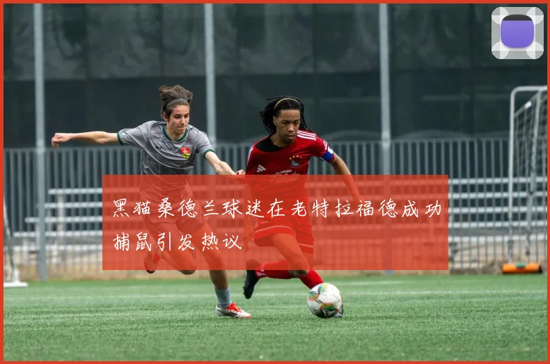 黑猫桑德兰球迷在老特拉福德成功捕鼠引发热议