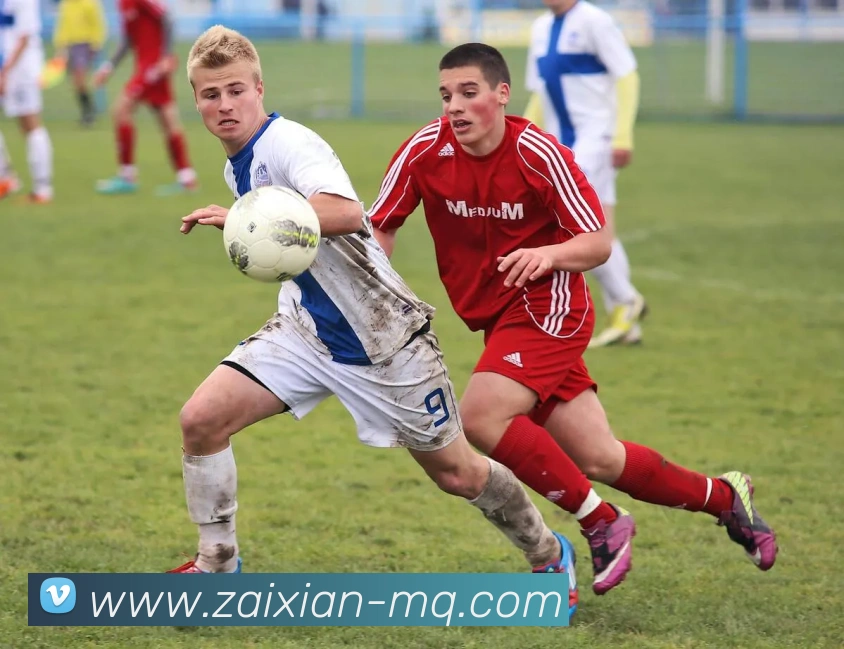 在线买球网站平台生态图